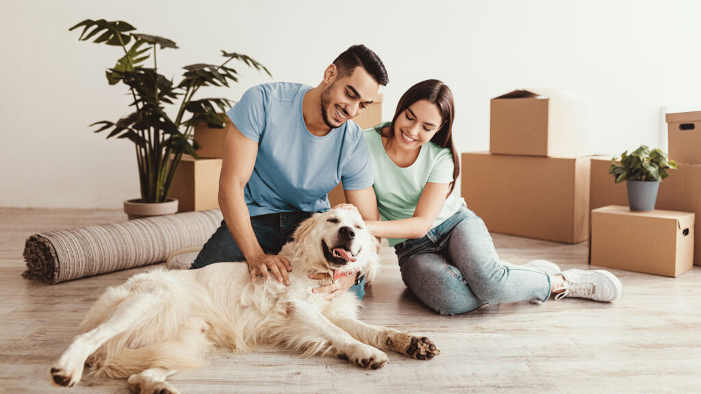 Junges Pärchen sitzt mit Ihrem Hund auf dem Boden Ihrer Wohnung, im Hintergrund Topfpflanzen und gepackte Kartons